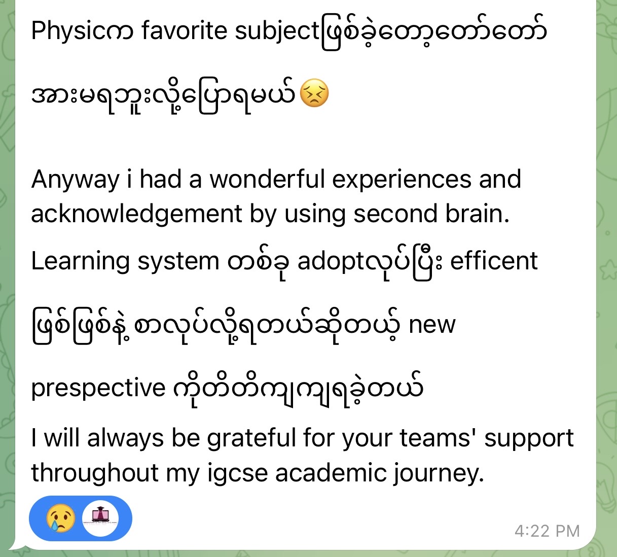Second Brain™ user feedback 14