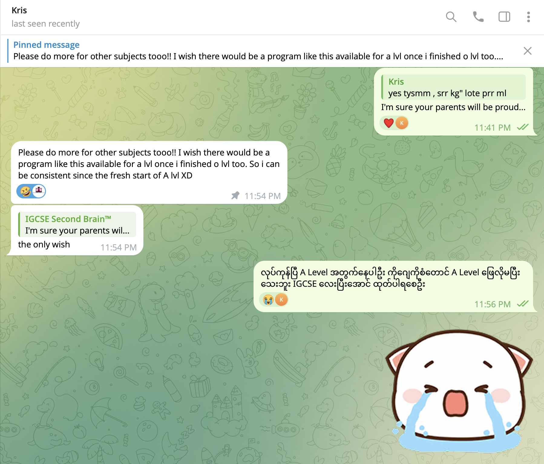 Second Brain™ user feedback 12